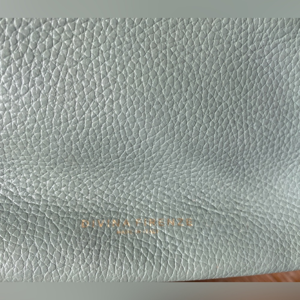 Divinia Firenze | Mint Green Pebbled Italian Leather Purse | Crossbody - Picture 12 of 15